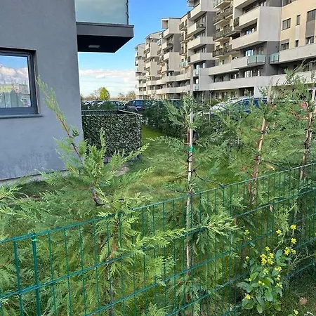 Eucalyptus Apartament * Braşov