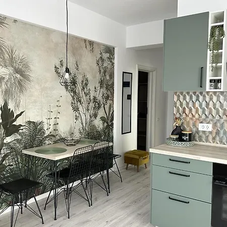 Eucalyptus Apartament Braşov