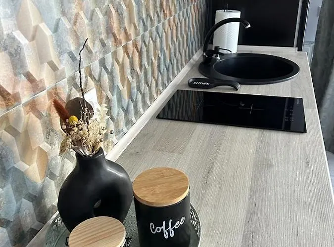 Eucalyptus Apartament * ブラショフ