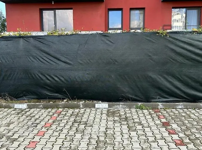 Eucalyptus Apartament * ブラショフ